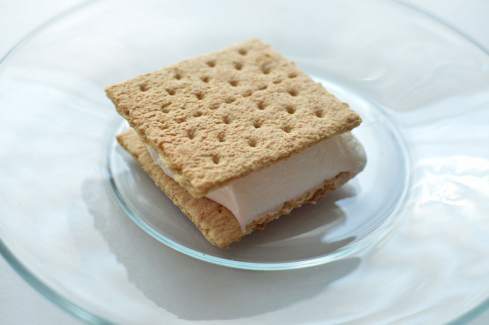 Looking for an easy summer treat? These light "ice cream" sandwiches are healthier than your normal ice cream sandwich and so much better! Only 3 ingredients and the perfect summer dessert!