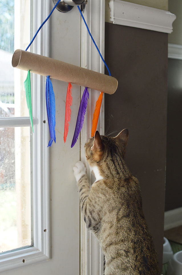 Life and style blogger, The Samantha Show, brings you this easy DIY cat toys tutorial using empty paper towel and toilet paper rolls.