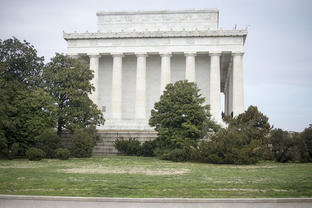 Since moving to Washington, D.C. I've picked up some tips and tricks on how to successfully travel with kids to the National Mall.