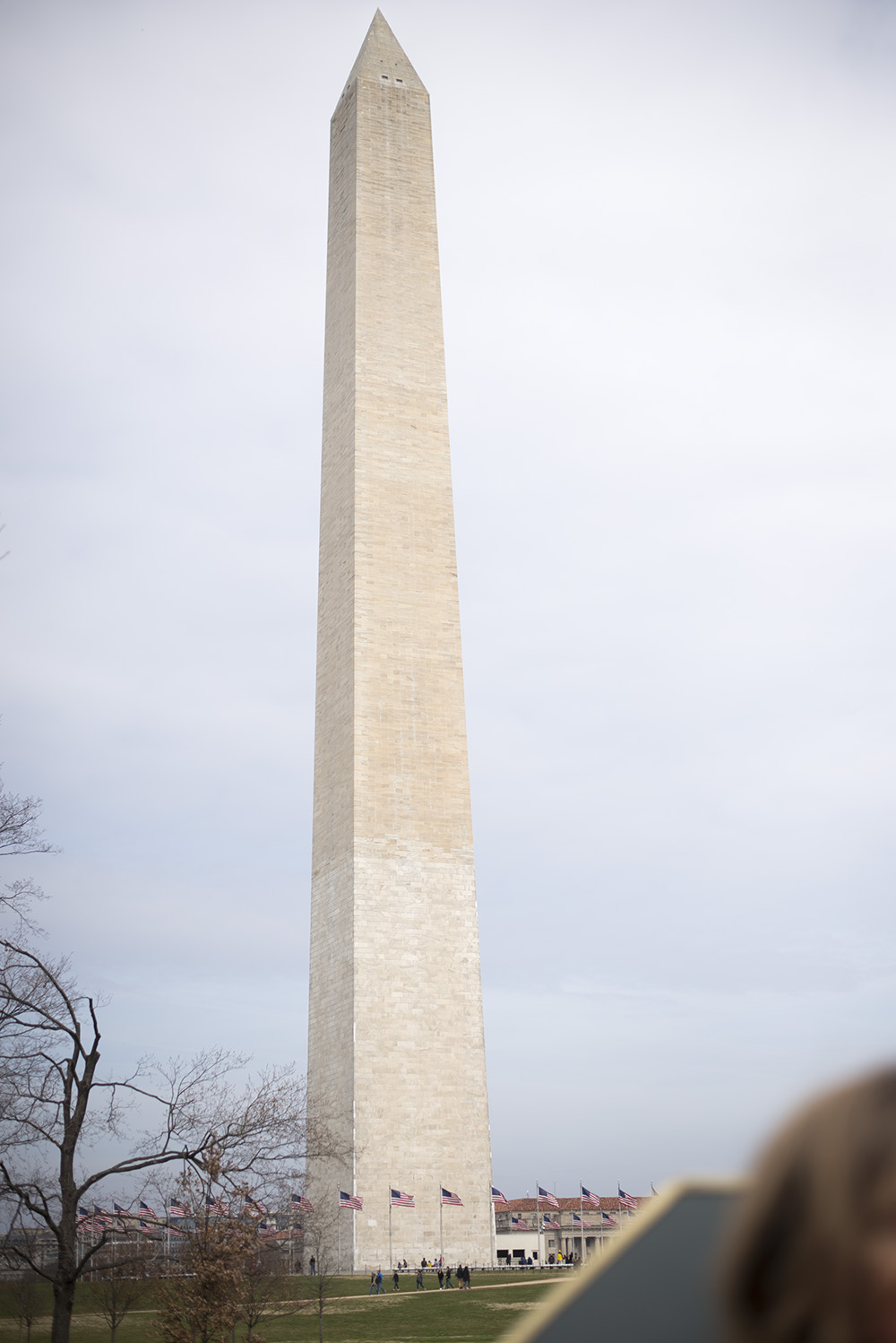 Since moving to Washington, D.C. I've picked up some tips and tricks on how to successfully travel with kids to the National Mall.