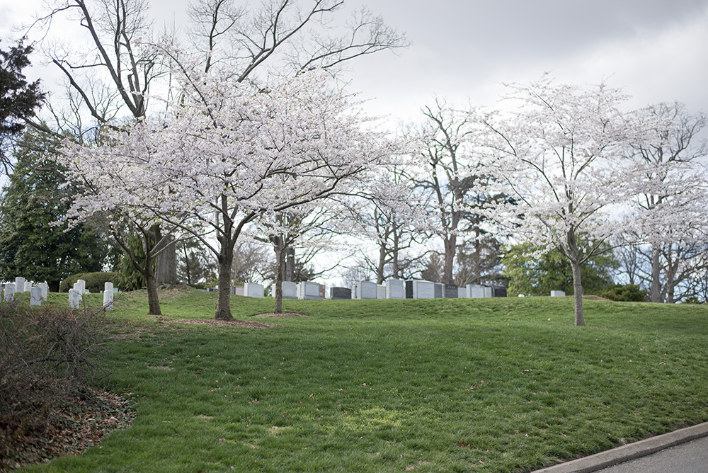 Planning a trip to the nation's capital? Check out this round-up on some of the best family-friendly things to do in Washington, D.C.