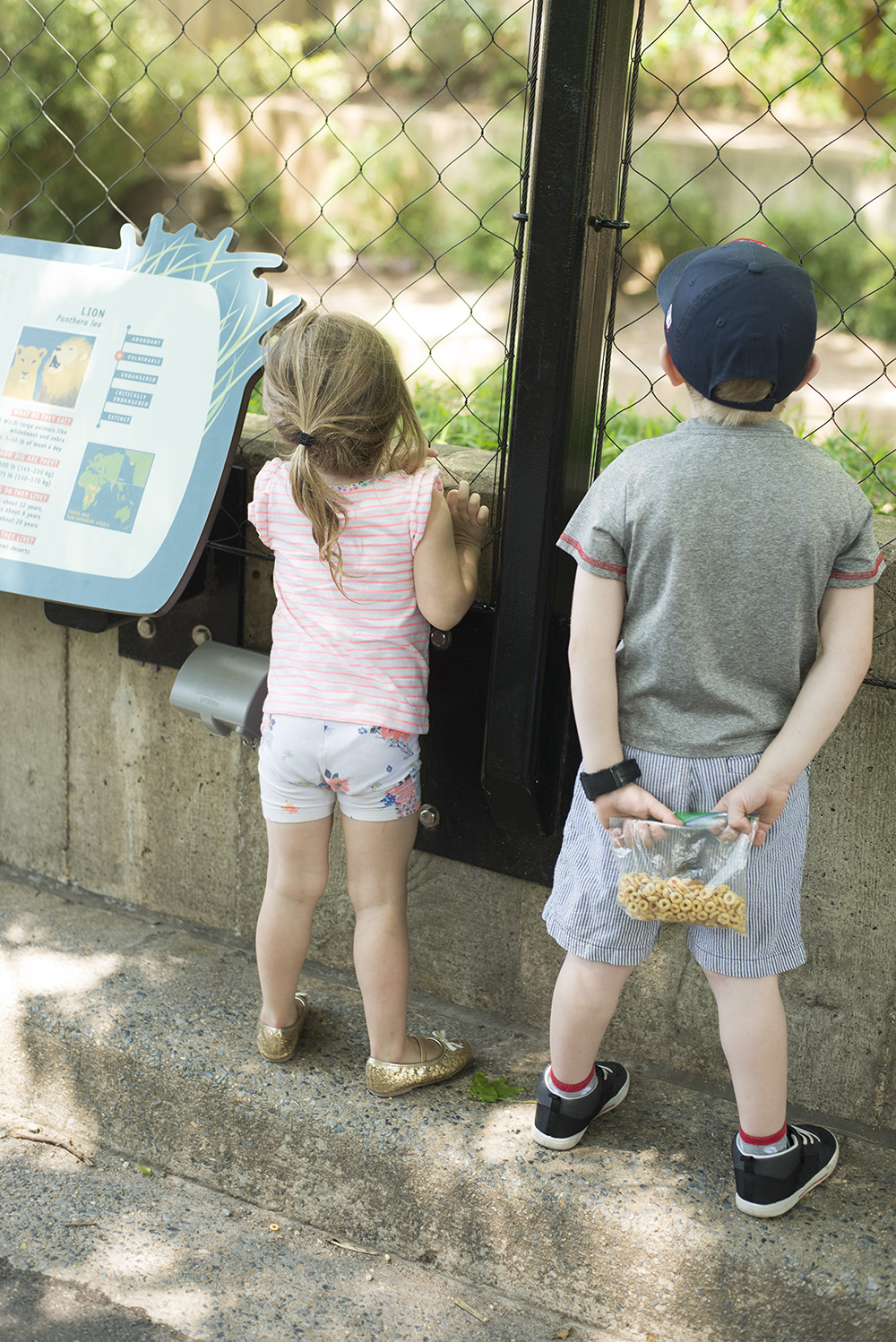 Kids and the zoo can be a real trip. No pun intended! Here are some ways to make sure you're conquering the zoo with preschoolers and enjoying it! 