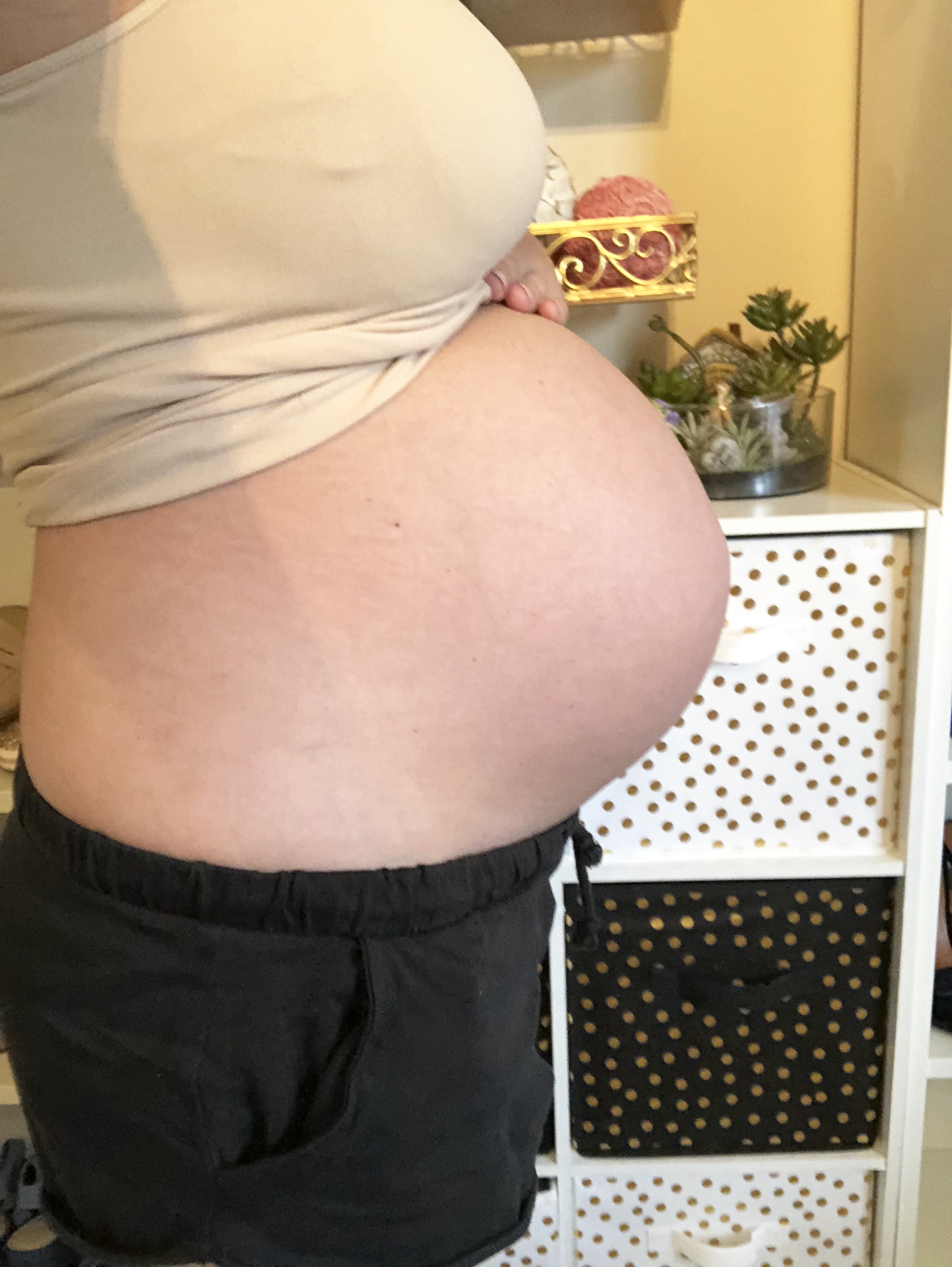 Bumpdate: 31 weeks 