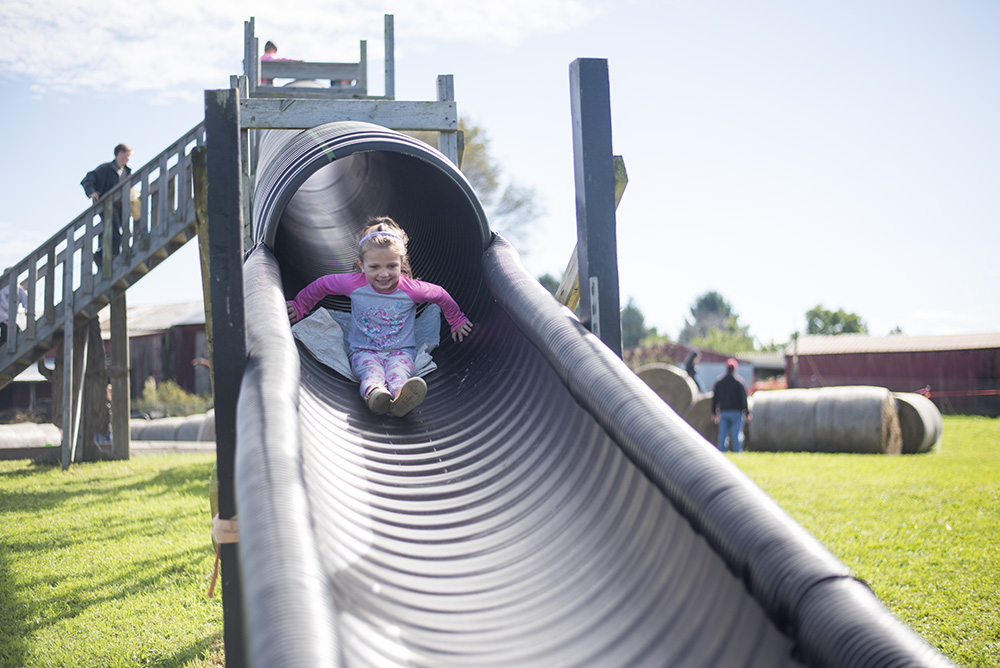 Check off a fall fest on your Family Fall Bucket List