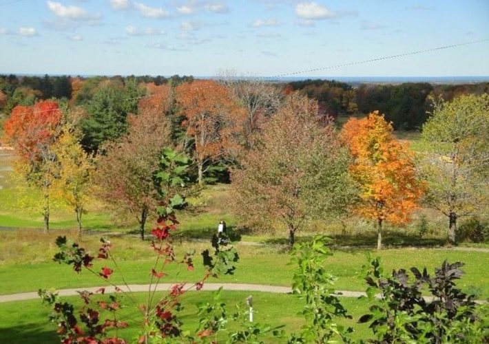 Best fall activities in Cleveland