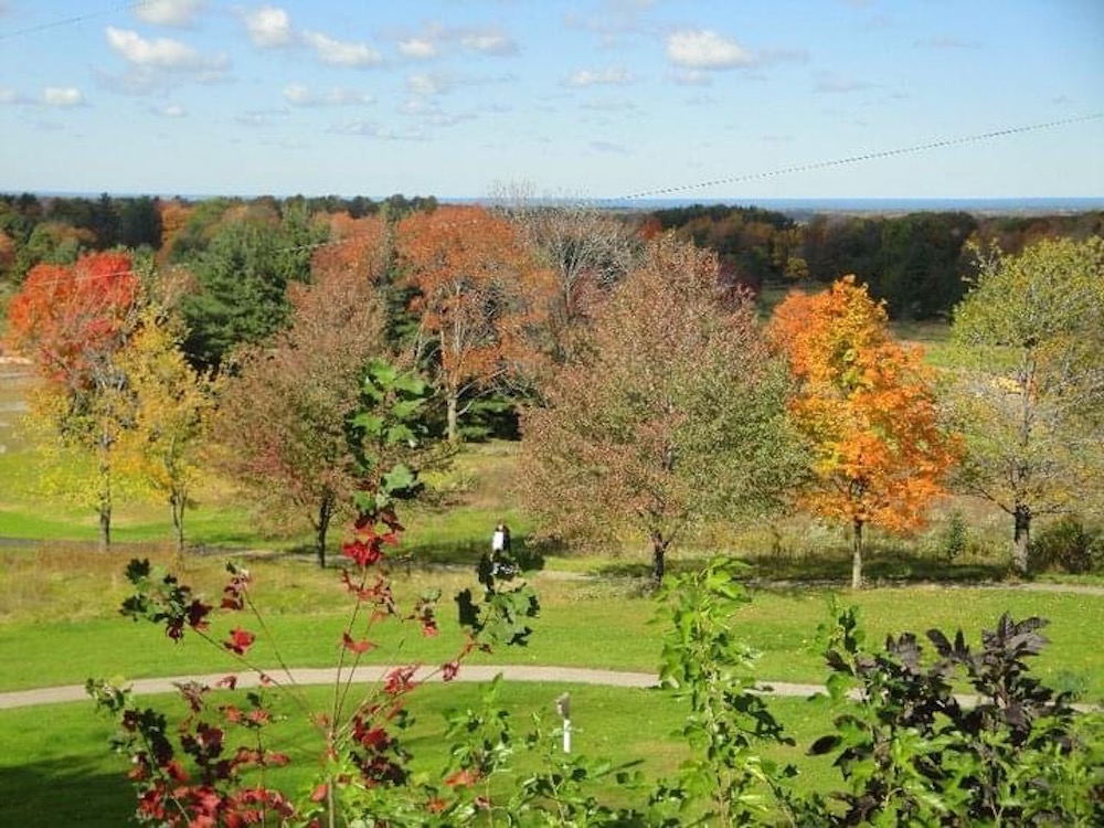 Best fall activities in Cleveland