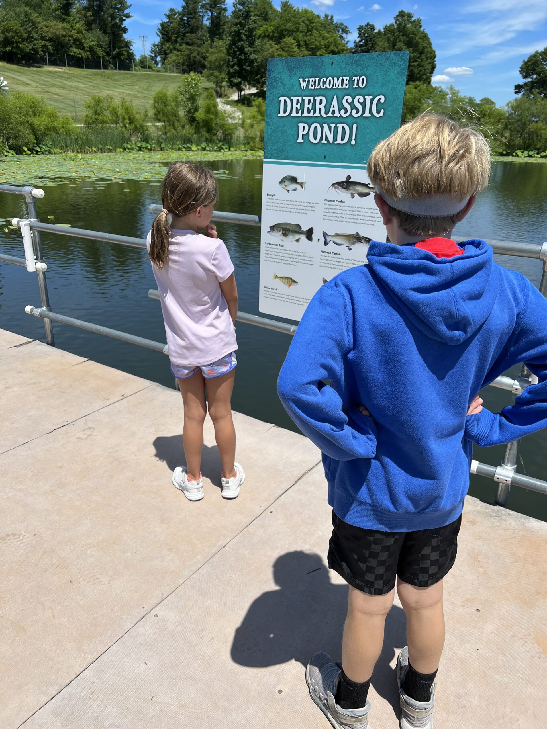 deerasic pond at deerasic park