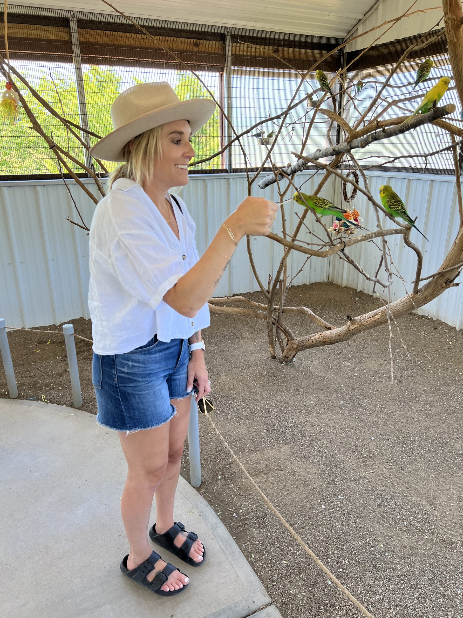 feeding the birds at the wilds