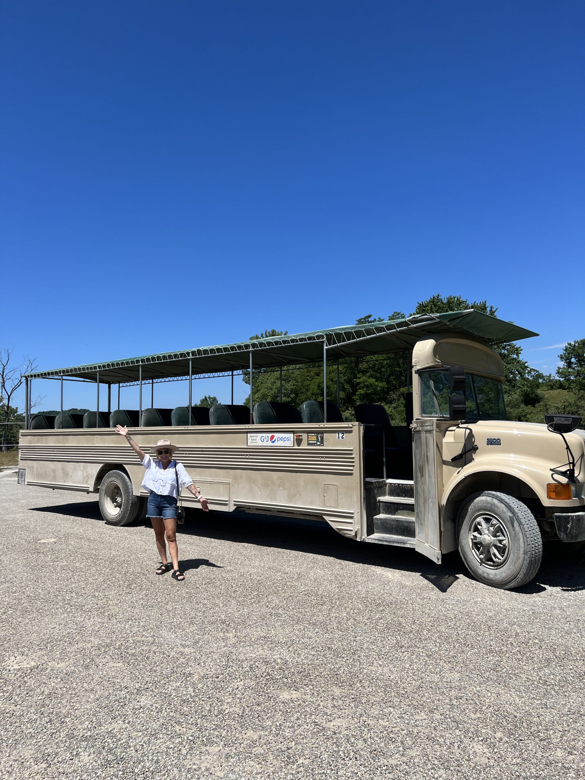 open air safari at the wilds