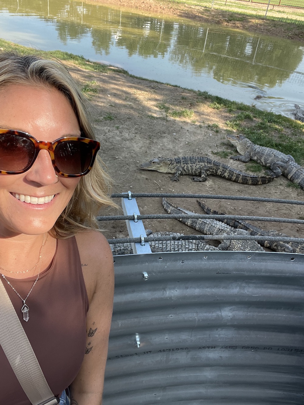 feeding alligators at deer tracks junction